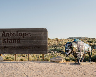 EXPLORE ANTELOPE ISLAND STATE PARK